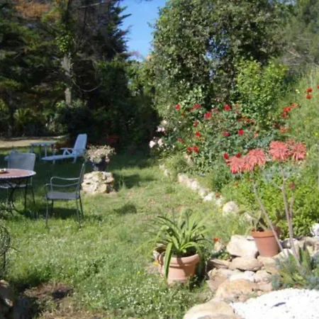 Apartment Canigou 2 - Pinede Avec Piscine Argelès-sur-Mer
