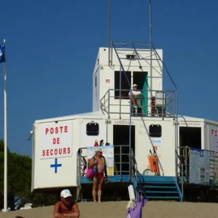 Canigou 2 - Pinede Avec Piscine *