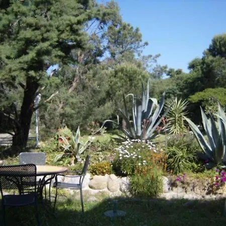 Canigou 2 - Pinede Avec Piscine Argelès-sur-Mer